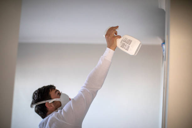 Home Mold Removal in Bremen, IN