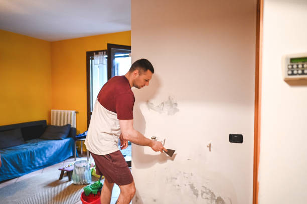 Best Attic Mold Removal  in Bremen, IN